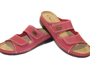 27510 Tamaris