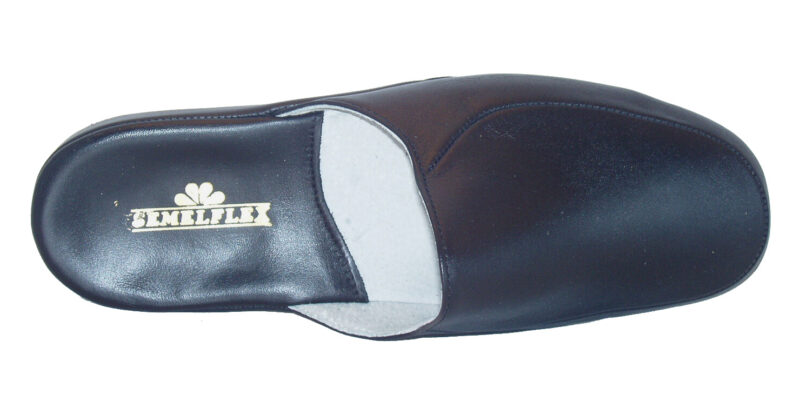 Duc Semelflex – Image 2