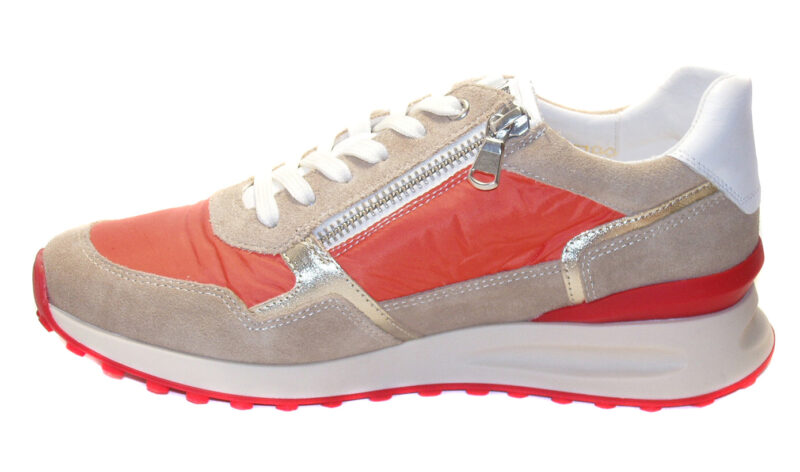 Sportwear Géo Reino Lapon – Image 2